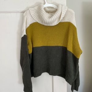 Chunky Turtleneck Sweater